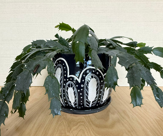 Sgraffito Planter 4