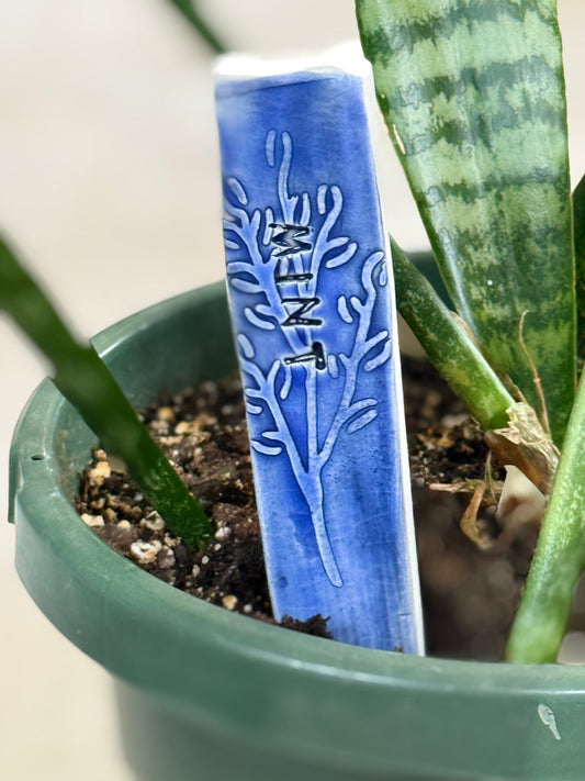 Garden Markers- Mint