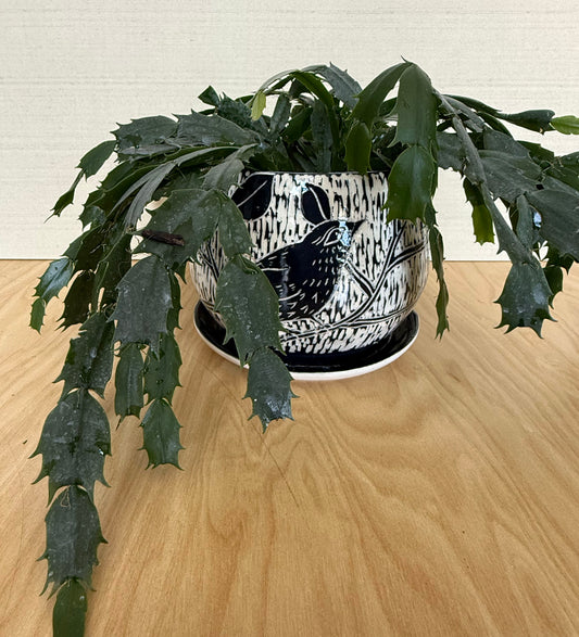 Sgraffito Planter 5