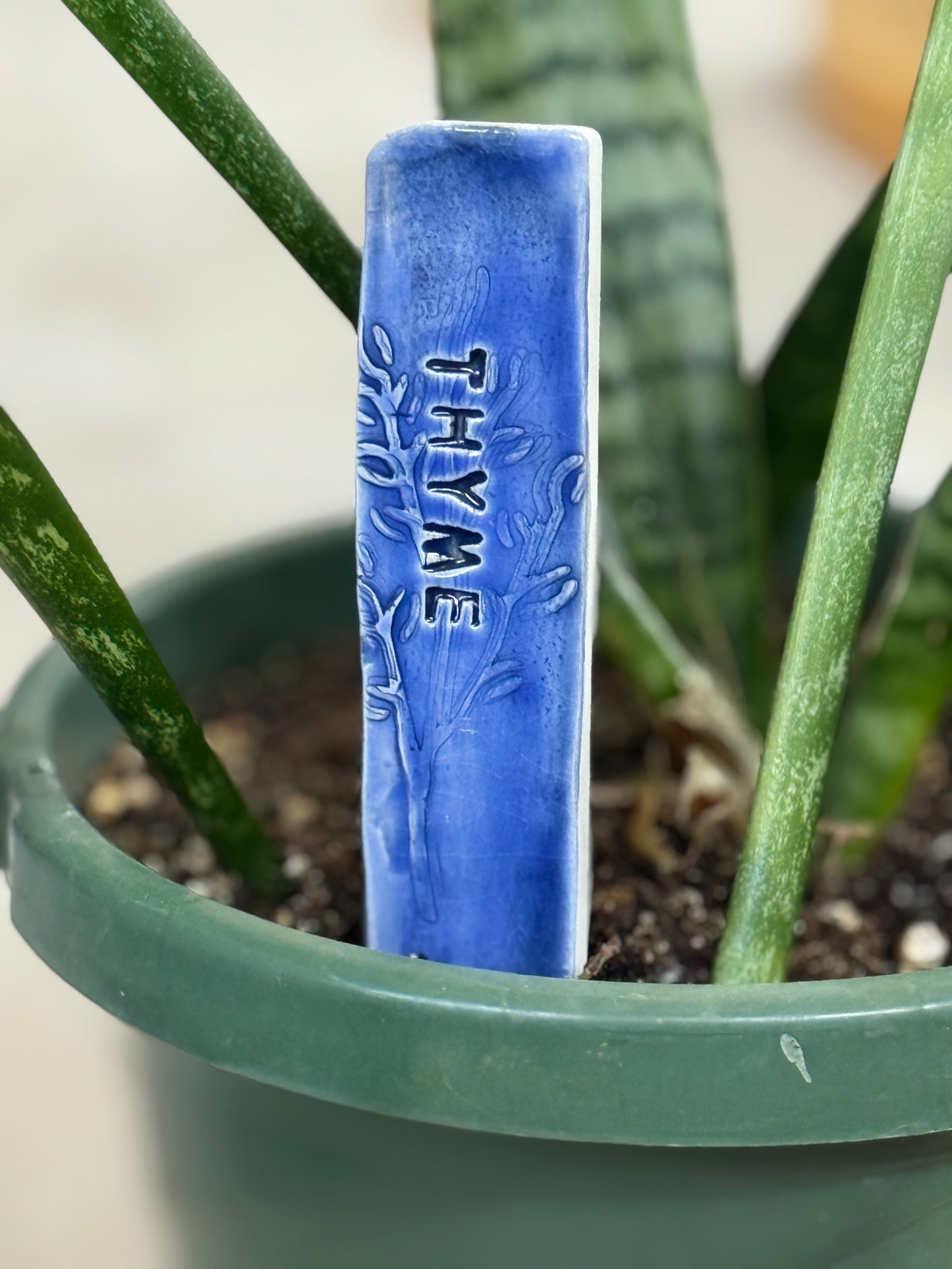 Garden Markers- Thyme (5in. Stake)